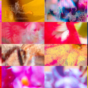 Spirit Garden Number One