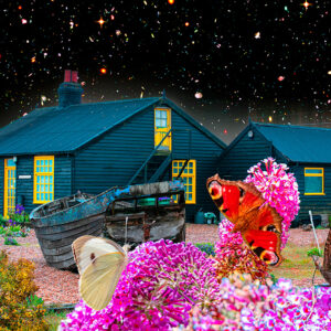 Prospect Cottage with Three Butterflies